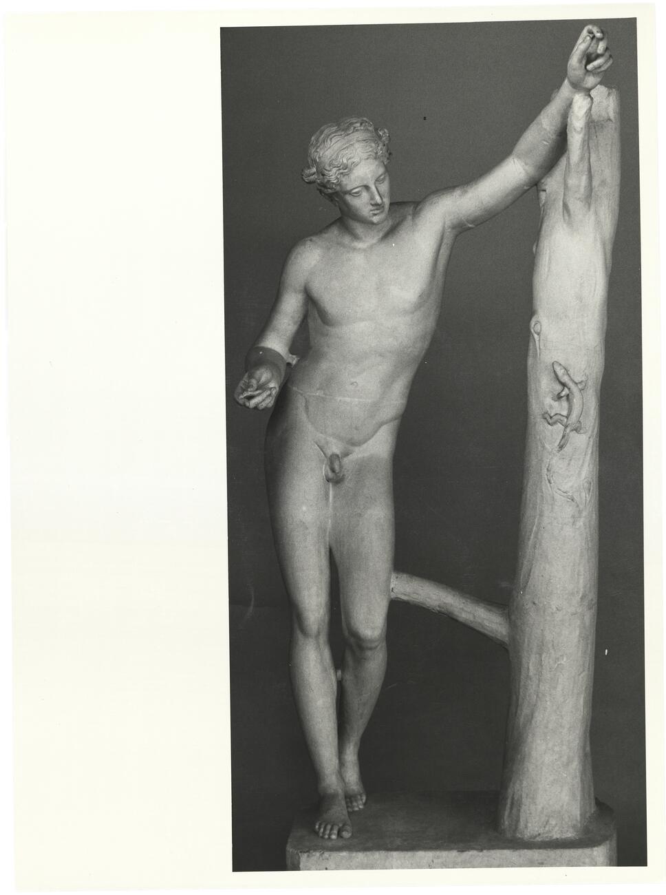 calco di scultura Statua dell'Apollo Sauroktono, dal Palatino 743 photo