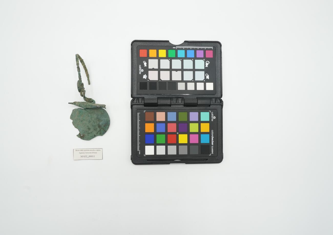 Fibula ad arco obliquo serpeggiante MAEI_00011 photo