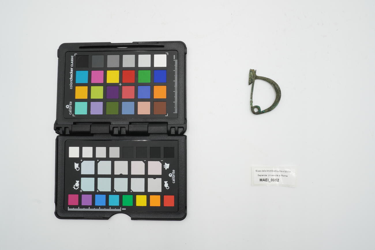 fibula ad arco a sesto rialzato, staffa a canale simmetrica molto larga MAEI_00052 photo