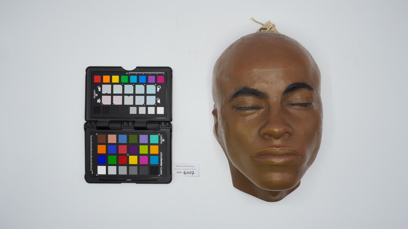 Calco facciale (maschera facciale antropologica) 6007 photo