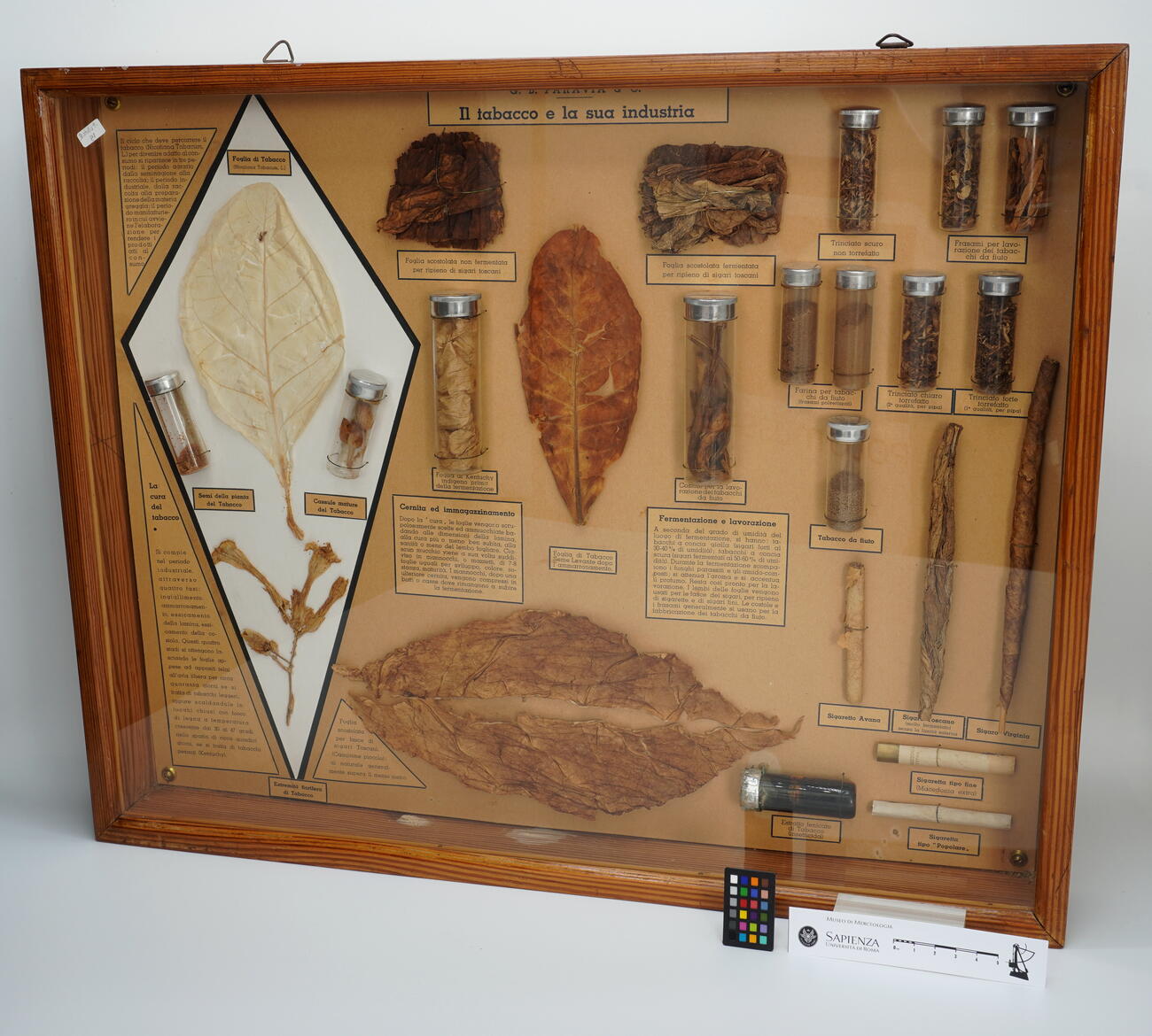 Teca didattica Il Tabacco e la sua industria P0001 photo