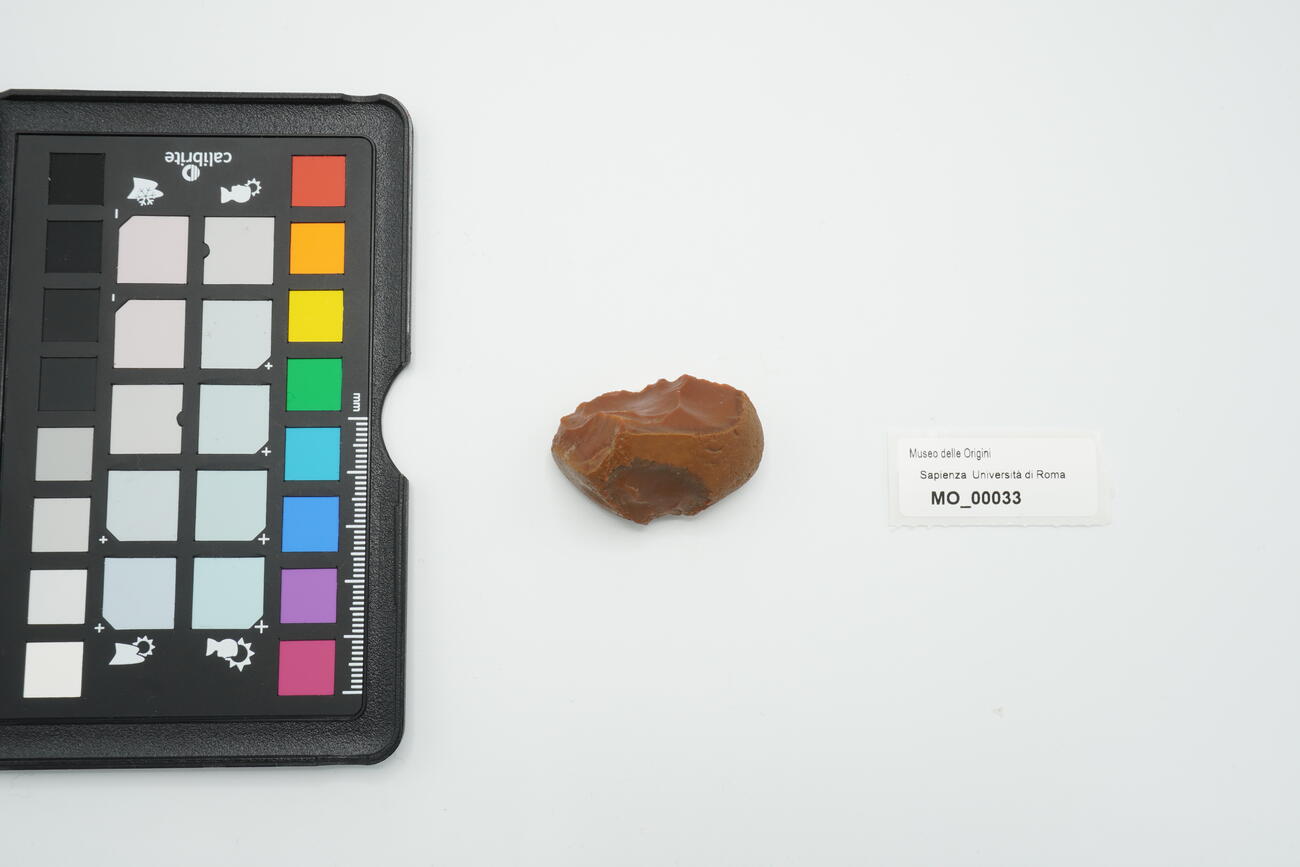 grattatoio denticolato carenoide 33 photo