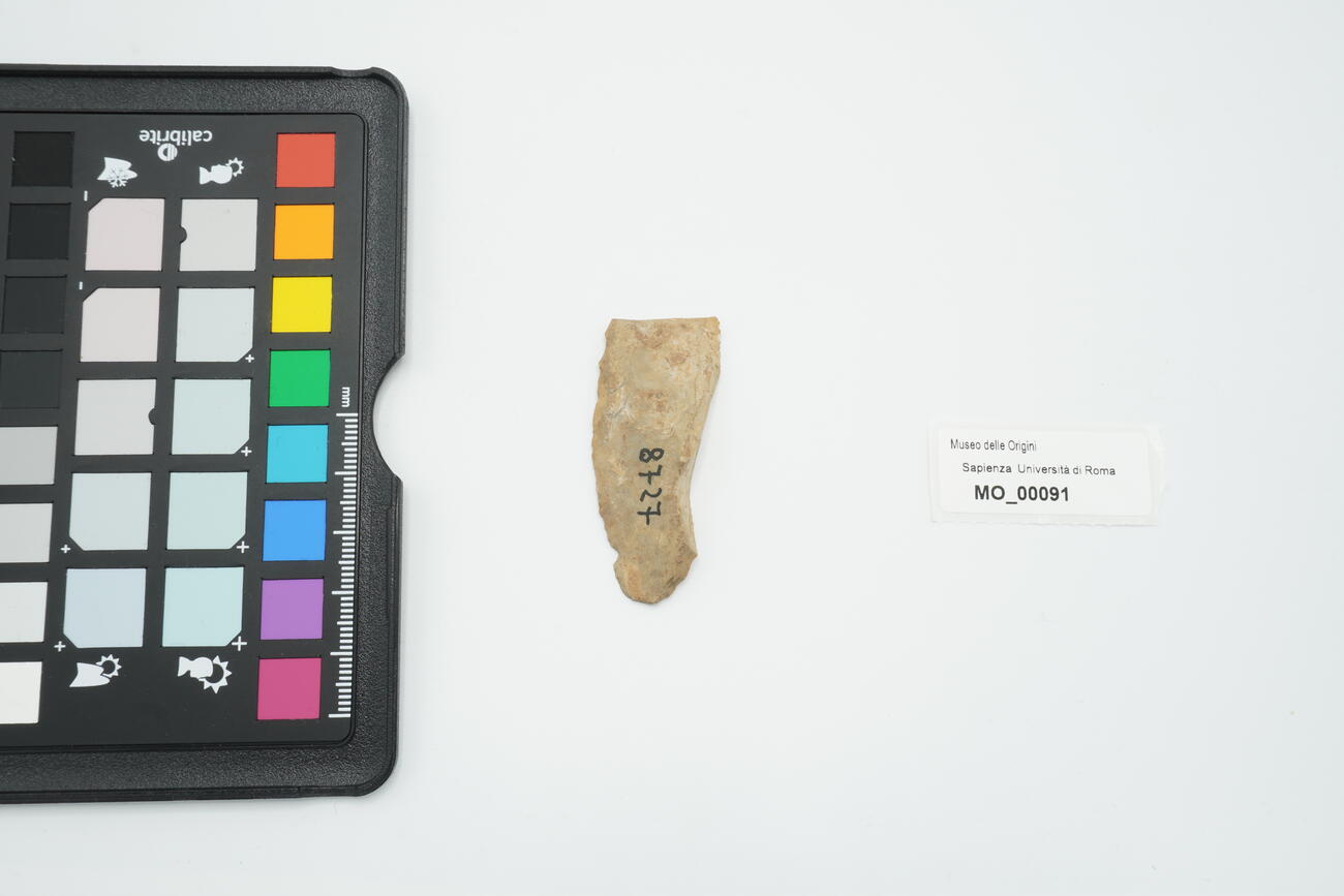 Lama-raschiatoio 91 photo