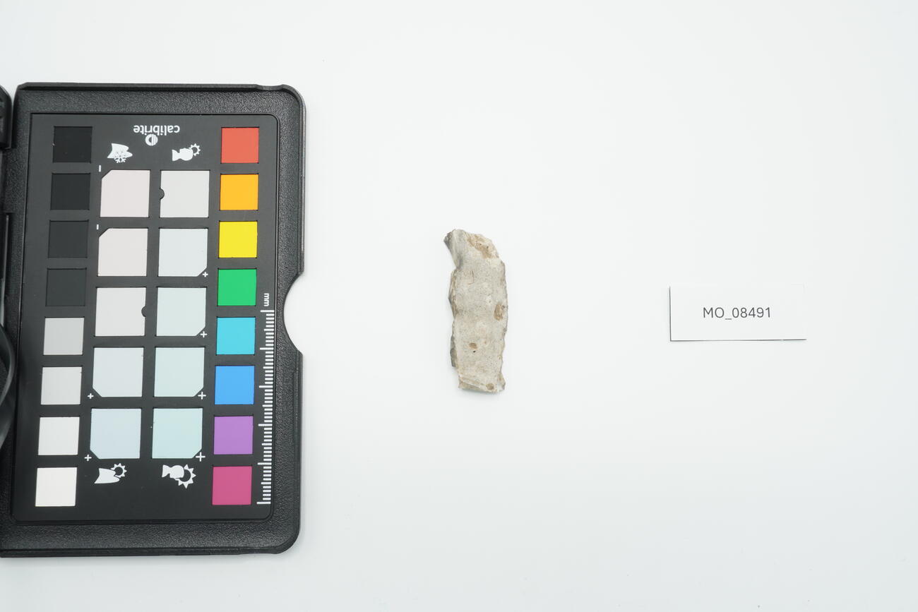 Lama-raschiatoio 8491 photo