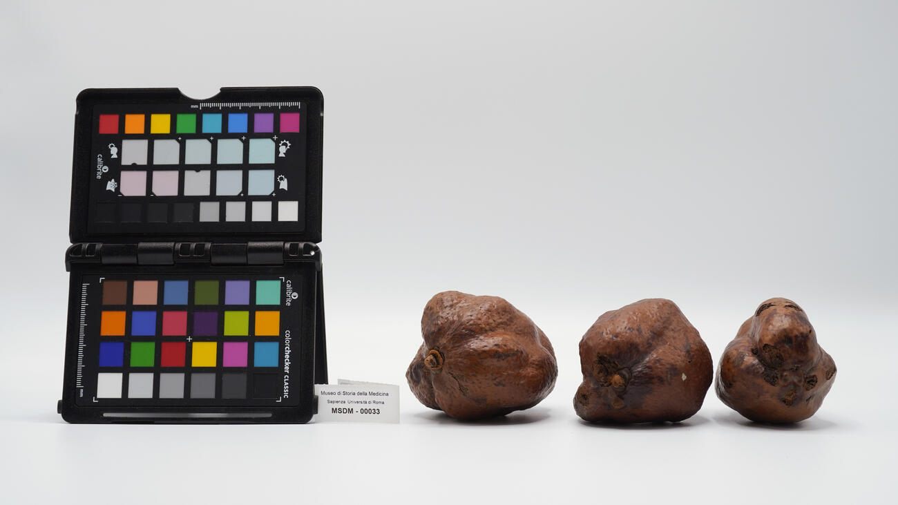 noci di palma 00033 photo