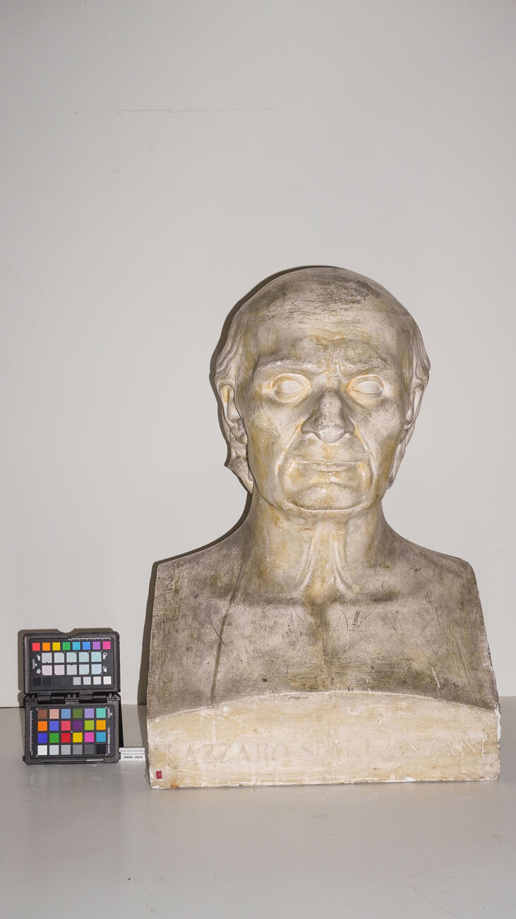 ritratto 00076 photo