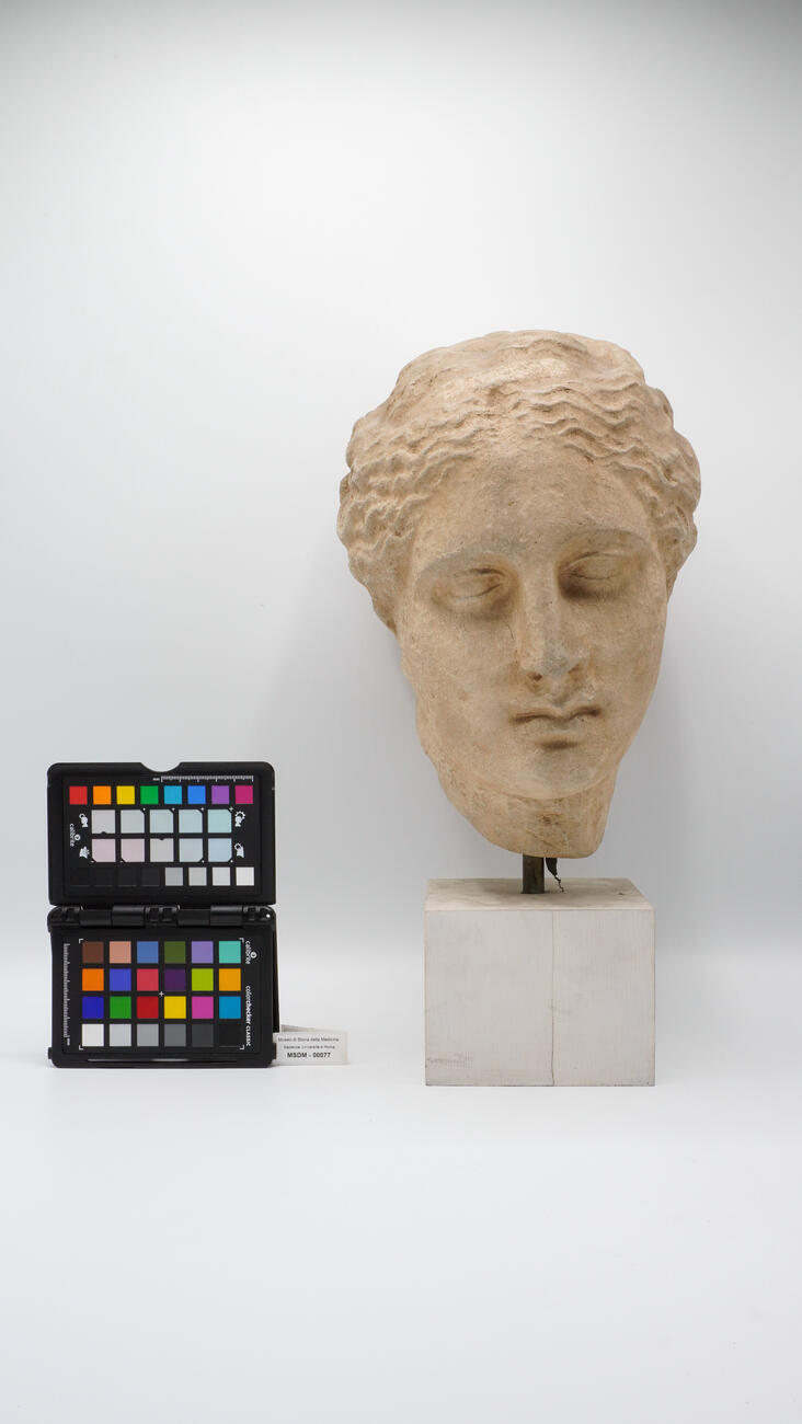 calco di testa femminile 00077 photo