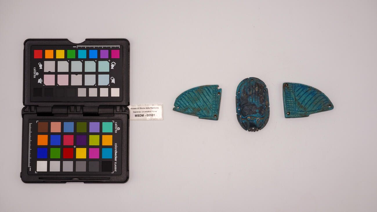 scarabeo alato 00101 photo