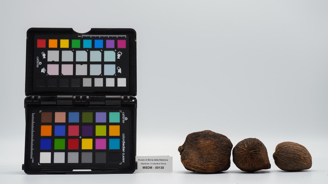 noce di palma 00130 photo