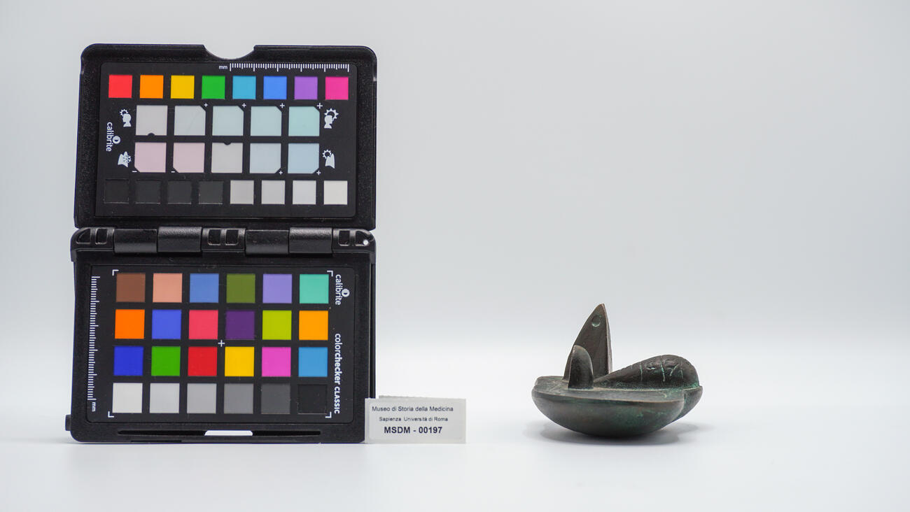 calco fegato 00197 photo