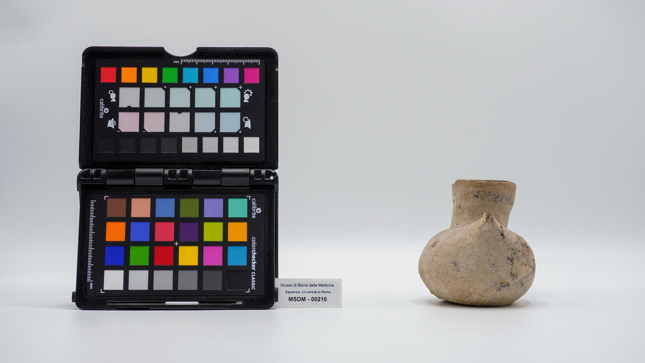 vaso a foggia di anatra 00210 photo