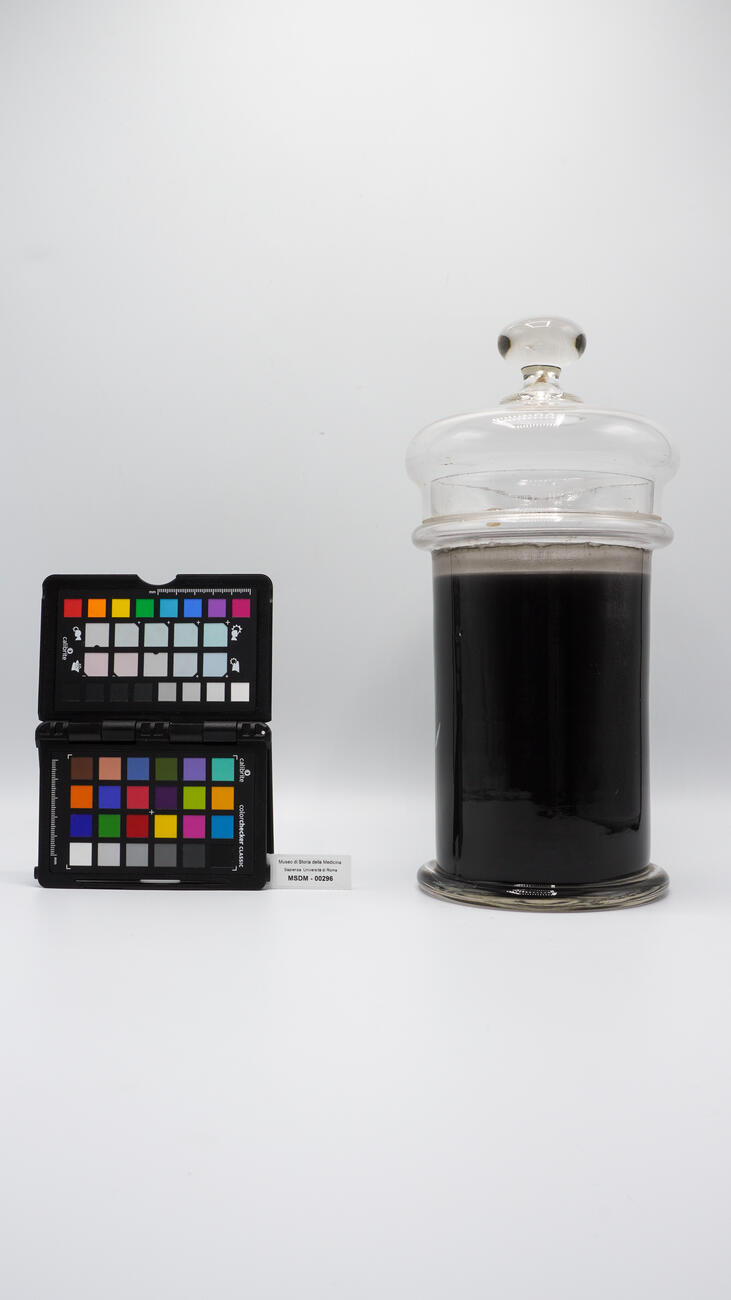 contenitore bile nera 00296 photo