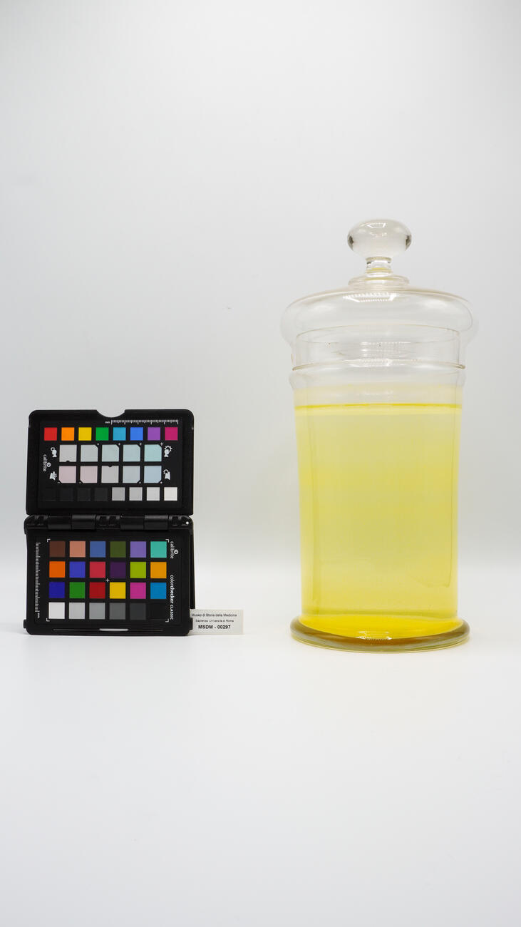 contenitore bile gialla 00297 photo