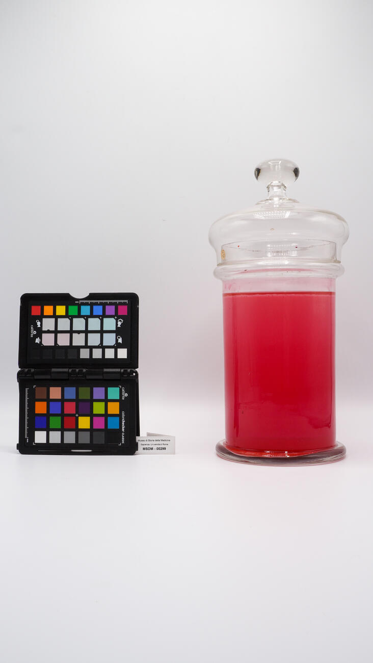 contenitore sangue 00299 photo