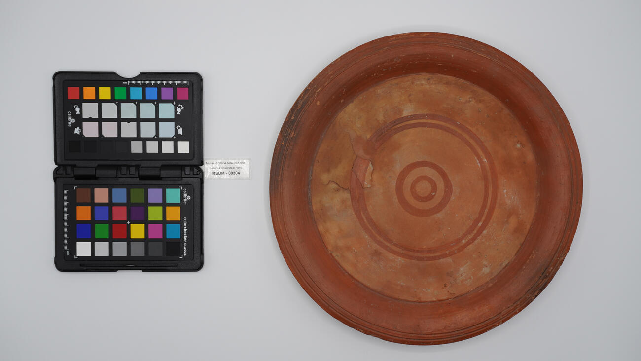 piatto grande 00304 photo