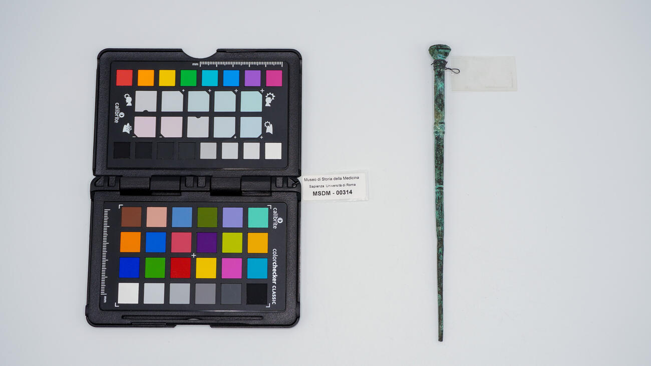 punteruolo romano 00314 photo