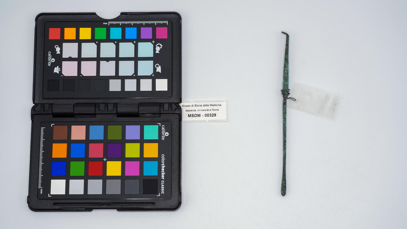 auriscalpium romano 00329 photo