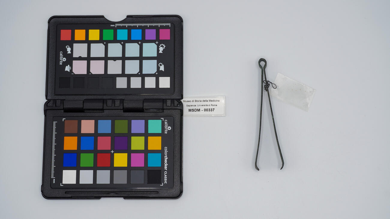 vulsella romana 00337 photo