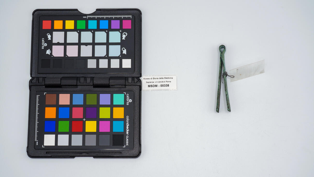 vulsella romana 00338 photo