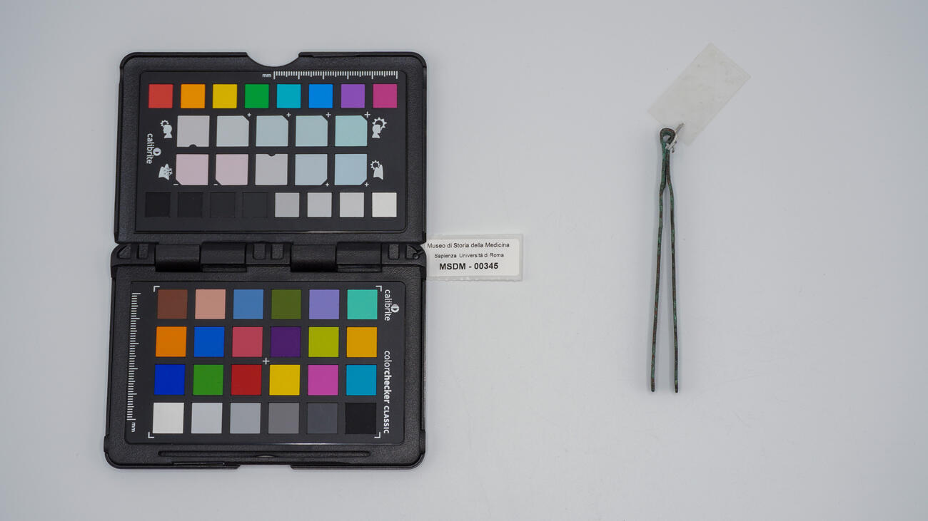 vulsella romana 00345 photo