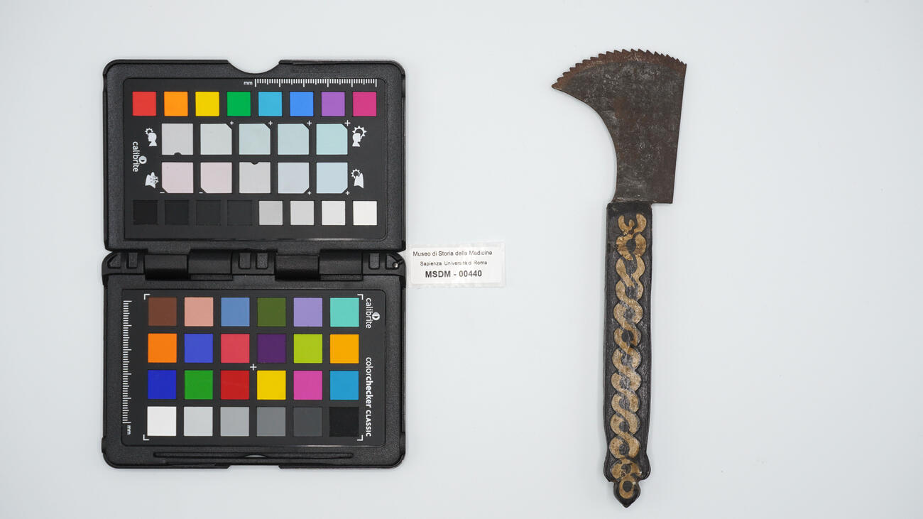 sega piccola 00440 photo