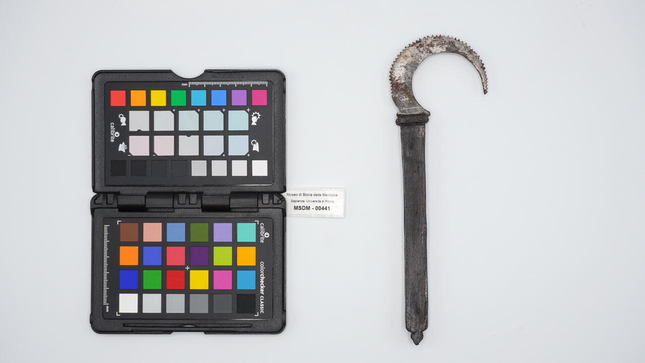 sega piccola 00441 photo