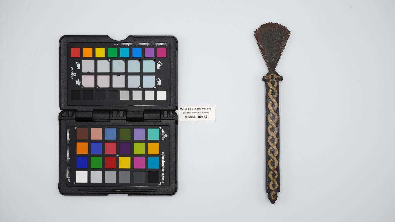 sega piccola 00442 photo