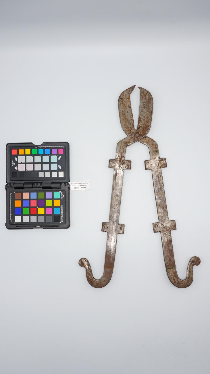 cauterio a cesoia 00486 photo