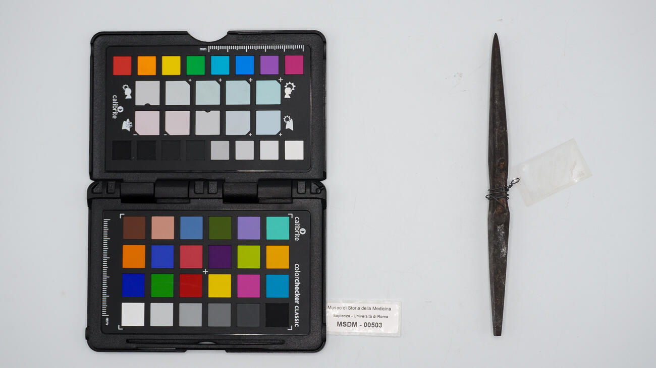 punteruolo doppio 00503 photo