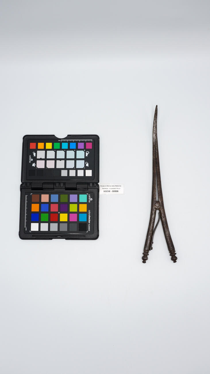 pinza anserina 00508 photo