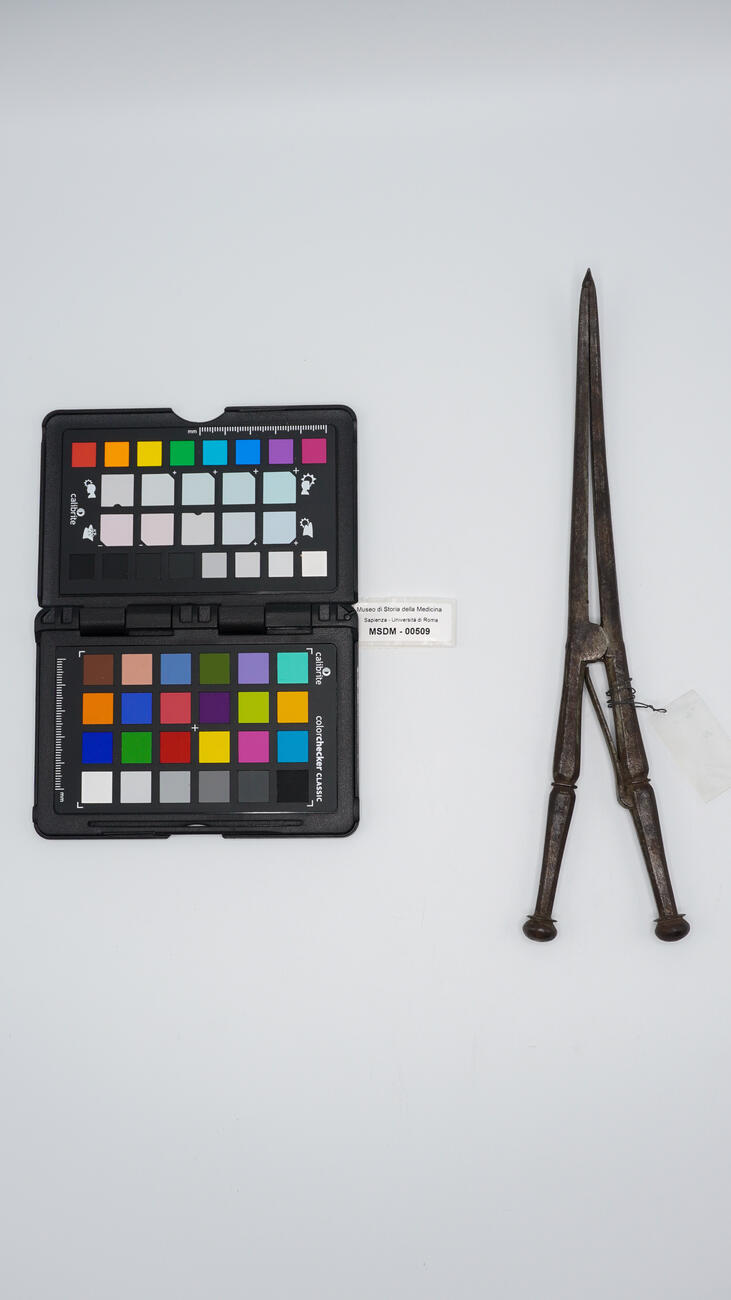 pinza anserina 00509 photo