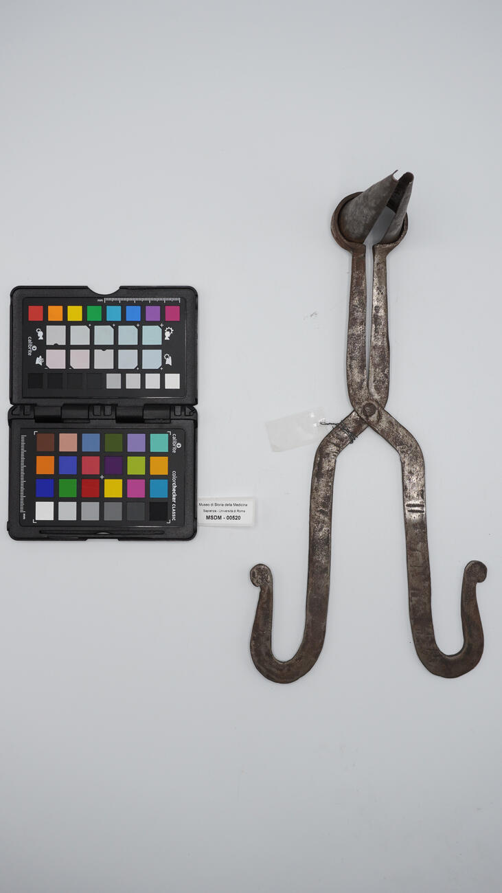 speculo vaginale 00520 photo