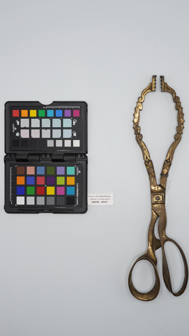 pinza uterina 00521 photo