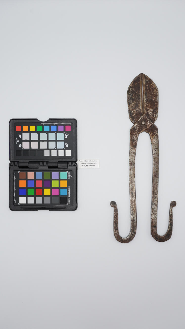 tronchese con branche 00532 photo