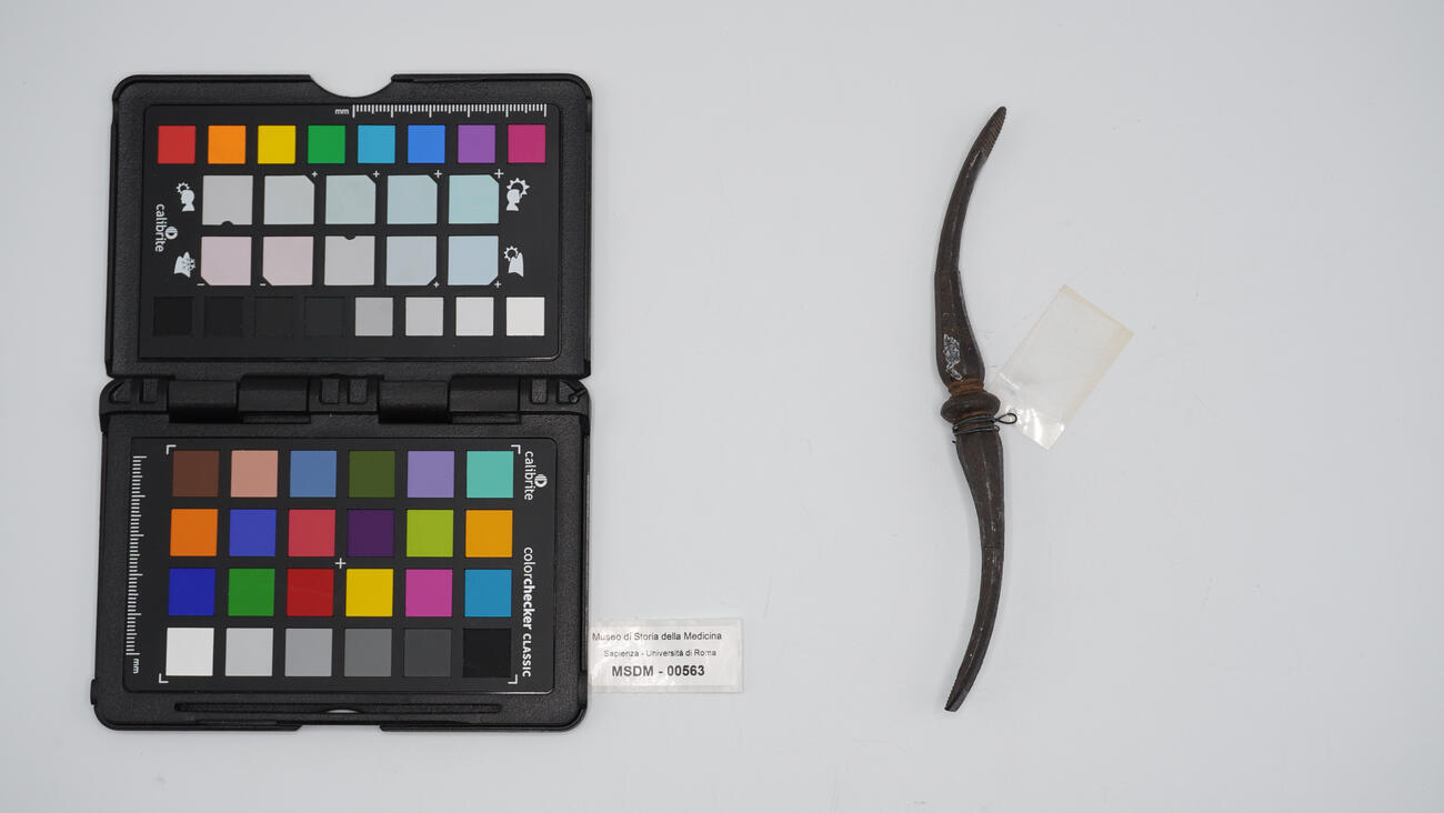 scollaperiostio 00563 photo