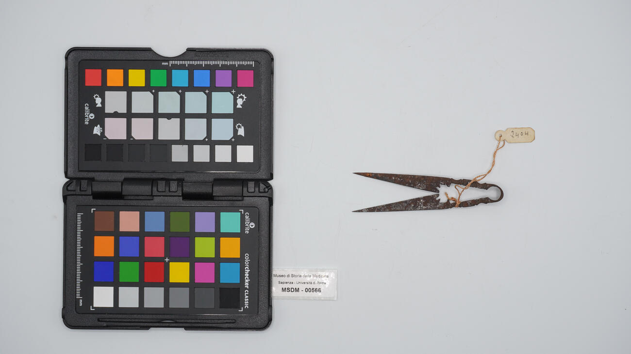 castratore 00566 photo