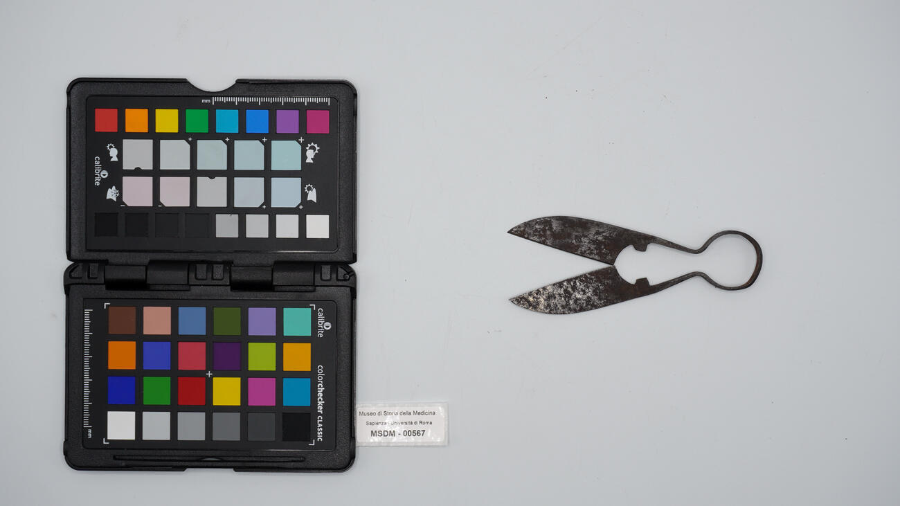 castratore 00567 photo