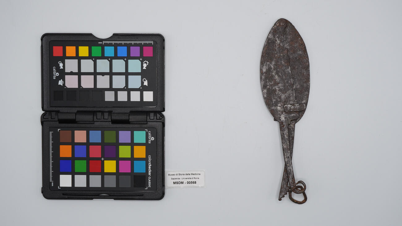 castratore per ernie 00568 photo