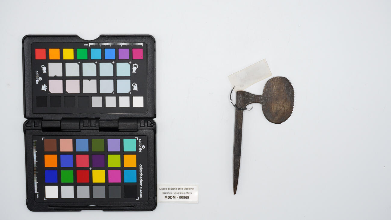 sega piccola 00569 photo