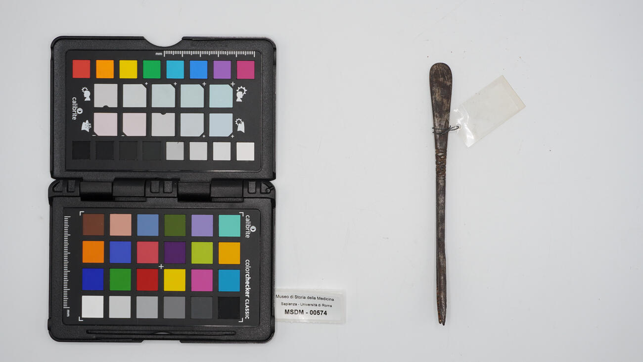 alfonsino per estrazione 00574 photo