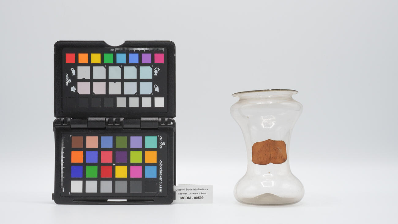 albarello rastremato 00599 photo