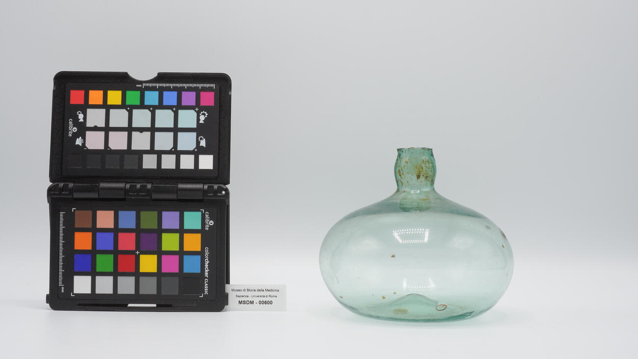 cipolla fiorentina 00600 photo