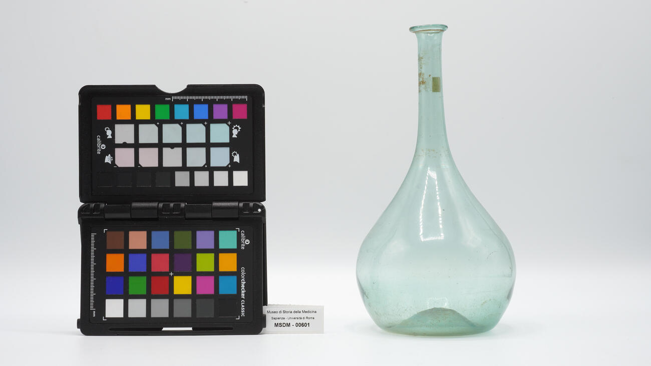 cipolla fiorentina 00601 photo