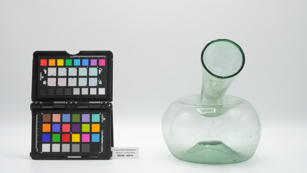 pappagallo da uomo 00616 photo