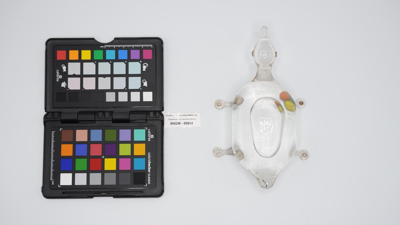 termometro a rana 00624 photo