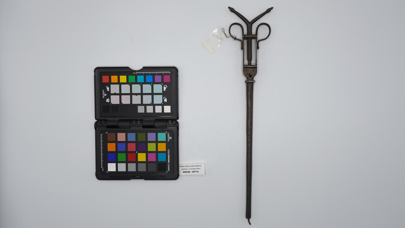 alfonsino per estrazione 00714 photo