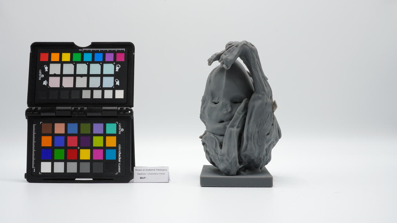 Modello tridimensionale di litopedio 2499 photo